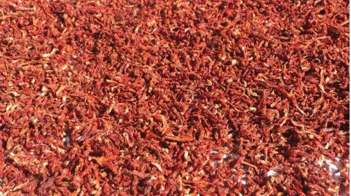 SUN DRIED SALTED TOMATO CUT STRIP